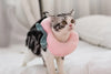 Soft Toast Avocado Shaped Cotton Cat Elizabethan Collar