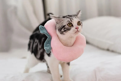 Soft Toast Avocado Shaped Cotton Cat Elizabethan Collar