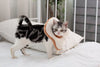 Soft Toast Avocado Shaped Cotton Cat Elizabethan Collar