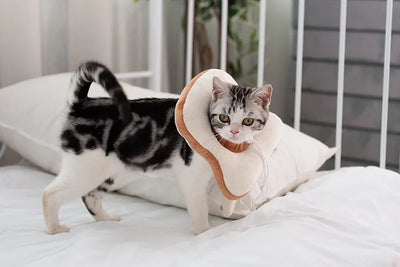 Soft Toast Avocado Shaped Cotton Cat Elizabethan Collar