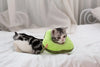 Soft Toast Avocado Shaped Cotton Cat Elizabethan Collar