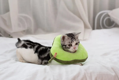 Soft Toast Avocado Shaped Cotton Cat Elizabethan Collar