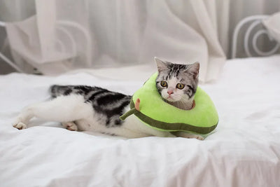 Soft Toast Avocado Shaped Cotton Cat Elizabethan Collar