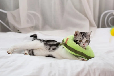 Soft Toast Avocado Shaped Cotton Cat Elizabethan Collar