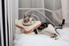 Soft Toast Avocado Shaped Cotton Cat Elizabethan Collar