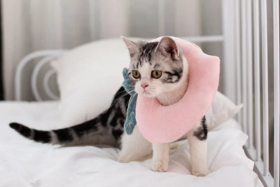 Soft Toast Avocado Shaped Cotton Cat Elizabethan Collar