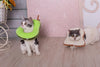 Soft Toast Avocado Shaped Cotton Cat Elizabethan Collar