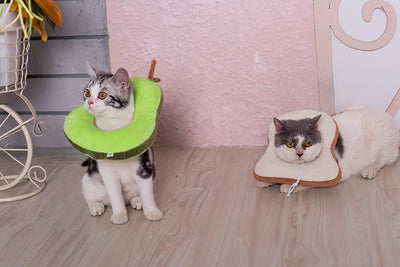 Soft Toast Avocado Shaped Cotton Cat Elizabethan Collar