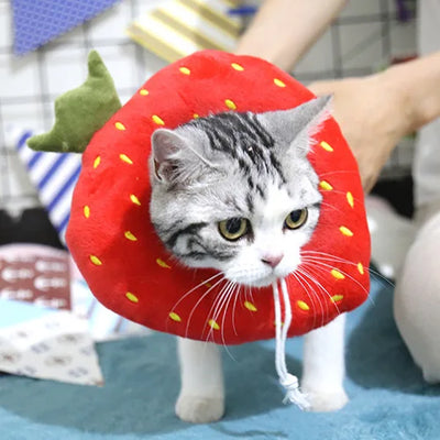 Soft Toast Avocado Shaped Cotton Cat Elizabethan Collar