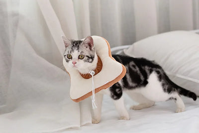 Soft Toast Avocado Shaped Cotton Cat Elizabethan Collar