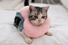 Soft Toast Avocado Shaped Cotton Cat Elizabethan Collar