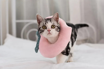 Soft Toast Avocado Shaped Cotton Cat Elizabethan Collar