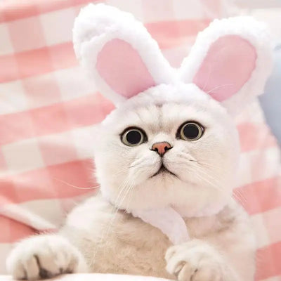 Cute Bear Rabbit Hooded Cat Cosplay  Hat