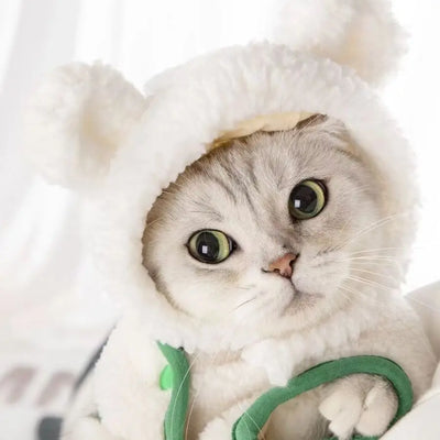 Cute Bear Rabbit Hooded Cat Cosplay  Hat